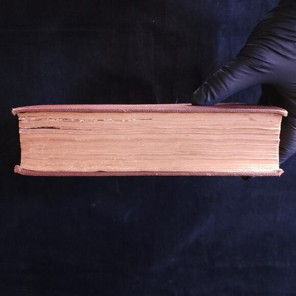 The Peoples Common Sense Medical Adviser RV Pierce Seventeenth Edition 1888 VTG - Picture 5 of 11